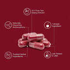 GoodGrove Tart Cherry Extract